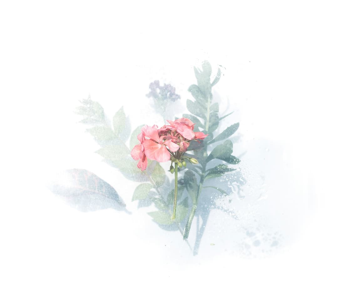 art-1